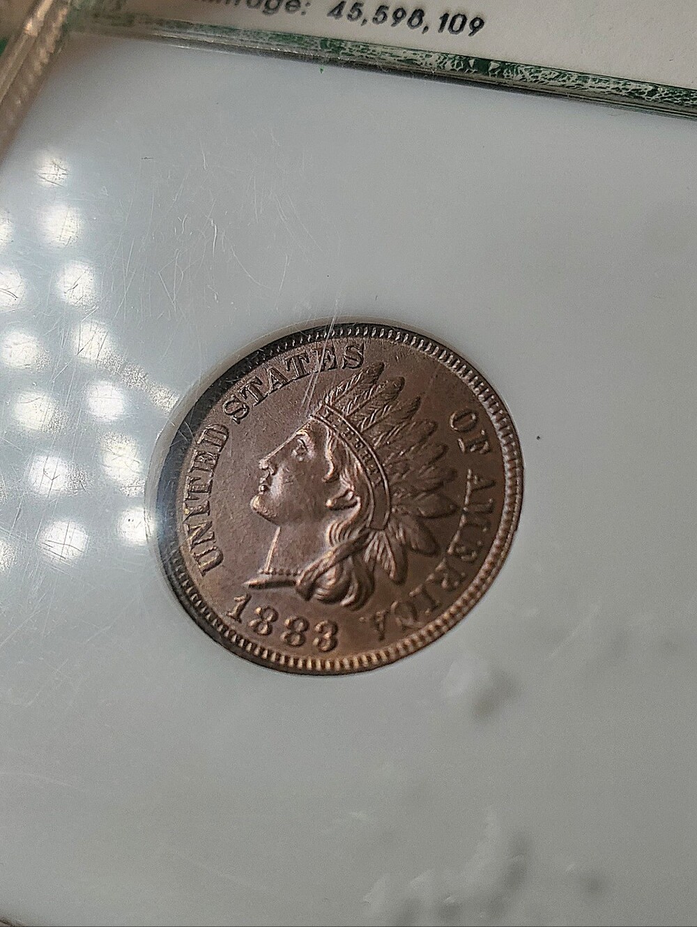 1883 indian head cent 1c - ms60 brown / red-brown - vintage pci green slab